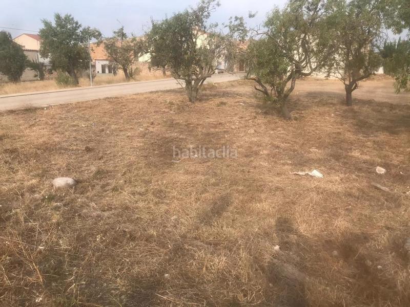 Foto d466014b-6ad8-405b-9e18-d30532f4883b. Finca rústica solvia inmobiliaria suelo urbano en Ulldecona