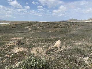 Finca rústica  185, los gimenez. Solvia inmobiliaria  suelo rústico níjar