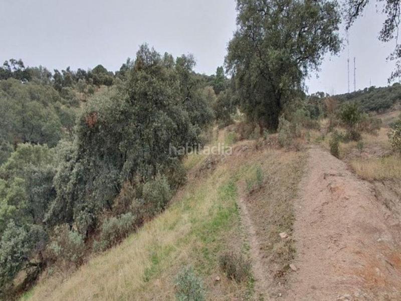 Foto d9eb317e-58e4-40fc-bf44-1901300932d2. Finca rústica solvia inmobiliaria suelo rústico en Obejo