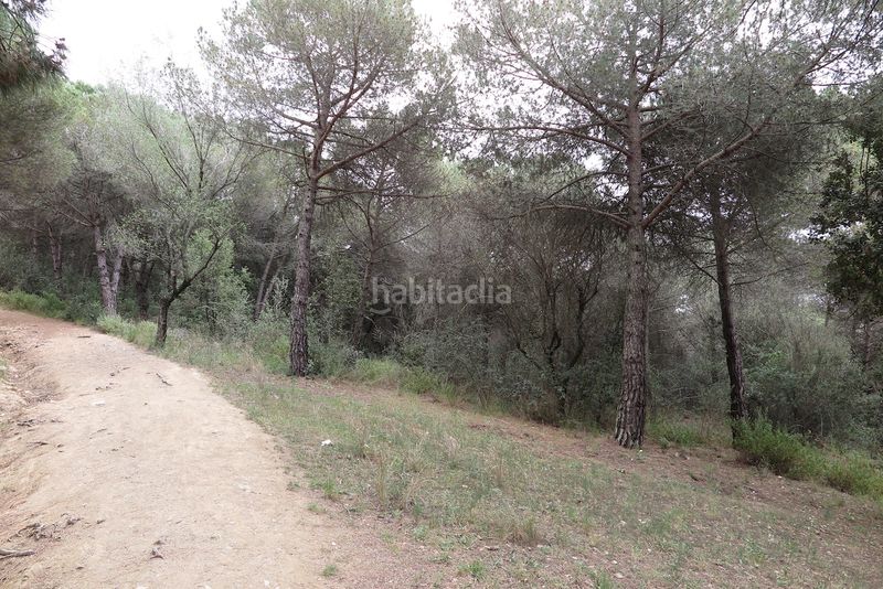 Foto 8e447c9b-dc7b-43a2-9251-5de31b95df40. Finca rústica a Can Violí - Can Poi del Bosc Garriga (La)