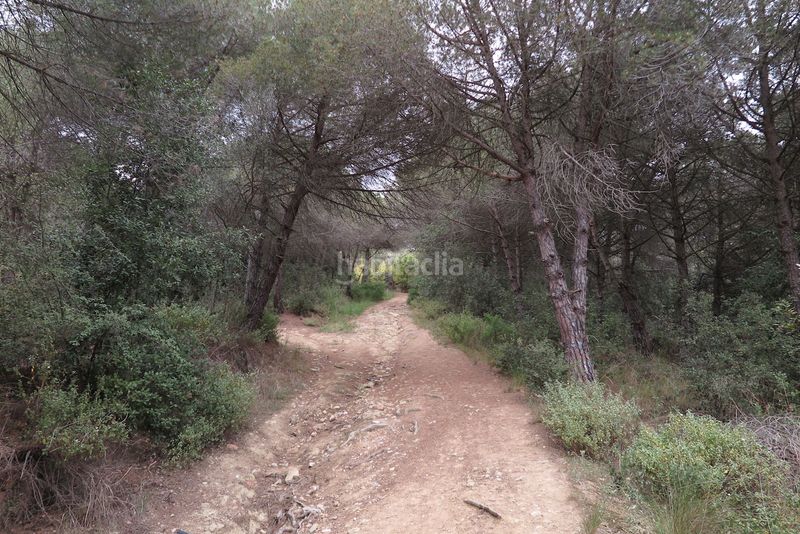 Foto 9fecb4d3-8e9b-49c8-9057-73a40456a23c. Finca rústica a Can Violí - Can Poi del Bosc Garriga (La)