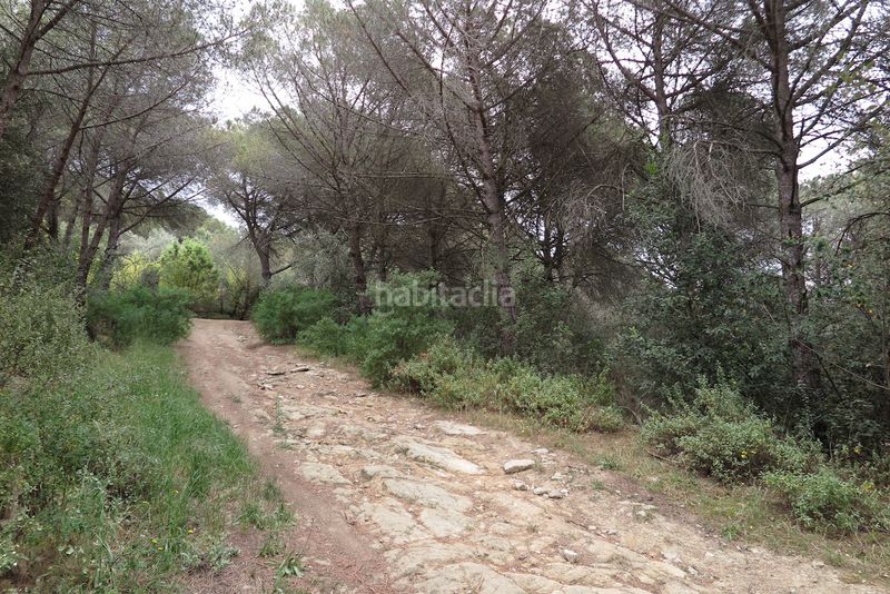 Foto ee6412cf-aff9-49b1-835c-0cbf9a954d6c. Finca rústica a Can Violí - Can Poi del Bosc Garriga (La)