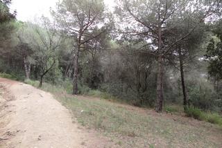 Propriété  Can poi  del bosc. Solvia inmobiliaria  suelo urbanizable garriga la