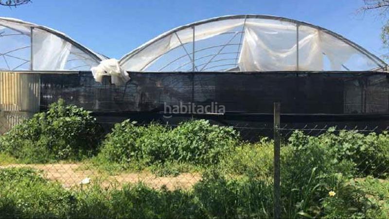 Foto 20e25f07-effb-4719-accb-e065388090d1. Landgut in Pedanías Norte Utrera