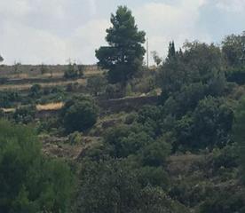 Finca rústica  Cabiscol. Solvia inmobiliaria  suelo urbano villar del arzobispo