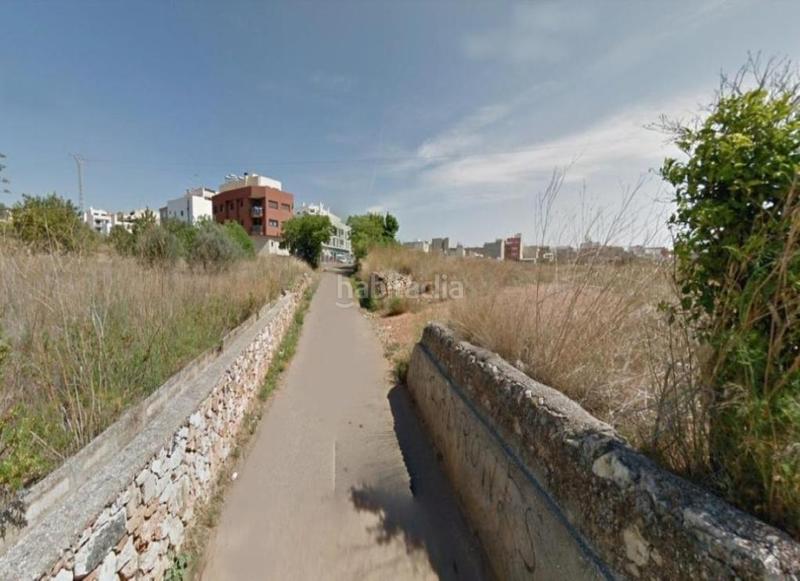 Foto 165fc551-b89c-46da-a7de-54c8bbc8f80c. Fondo rustico in Torreblanca