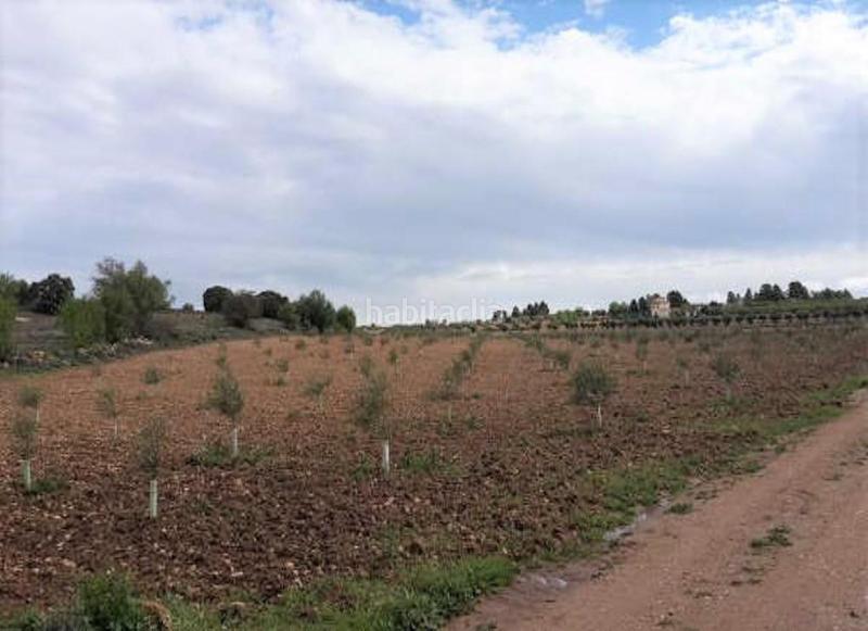 Foto 4b0d3baf-7154-45d7-b27f-189fbe3ee7a9. Fondo rustico in Quintanar de la Orden