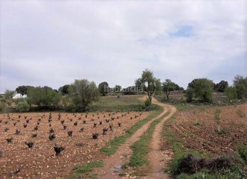Foto 81df1893-3055-4402-8a0d-fa3bcff02720. Fondo rustico in Quintanar de la Orden