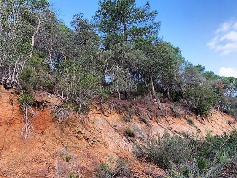Foto 5ca66ec1-5c68-45f0-b73a-e0beae09ea45. Finca rústica a Serra Brava Lloret de Mar