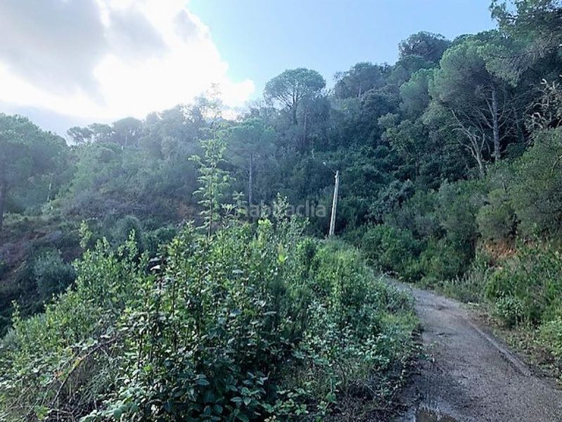 Foto 9d0ab7d7-30de-45fe-b5cc-0b6617d0fc92. Finca rústica a Serra Brava Lloret de Mar