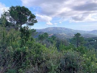 Landgut  C/ ocells. Solvia inmobiliaria  suelo rústico lloret de mar
