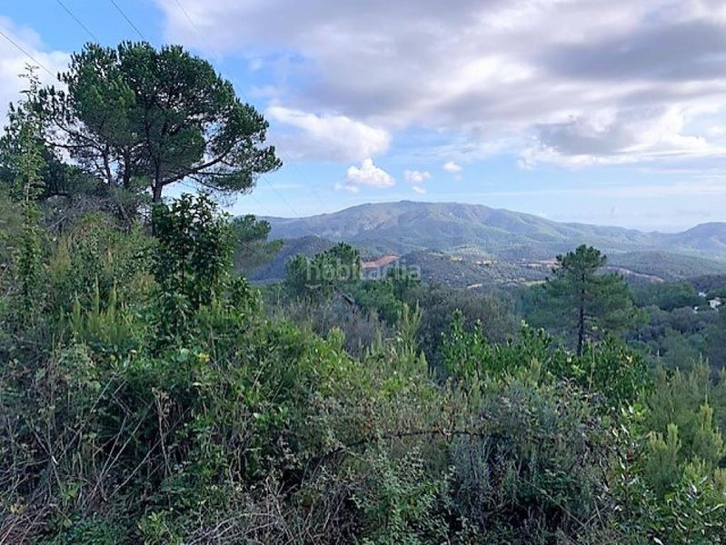 Foto e92ba2d3-a589-4b50-8066-328dc1e58cc7. Finca rústica a Serra Brava Lloret de Mar