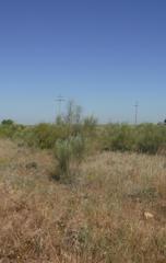 Finca rústica  Pluto. Solvia inmobiliaria  suelo urbanizable lleida