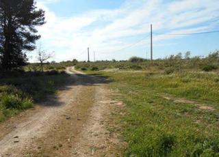 Rural plot  Pluto. Solvia inmobiliaria  suelo urbanizable lleida