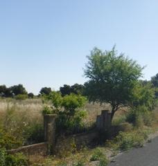 Landgut  Pluto. Solvia inmobiliaria  suelo urbanizable lleida