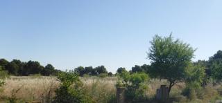 Fondo rustico  Pluto. Solvia inmobiliaria  suelo urbanizable lleida
