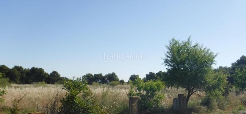 Foto c7decd2c-a15a-4fcf-8ea3-3169f0556510. Finca rústica solvia inmobiliaria suelo urbanizable en Lleida