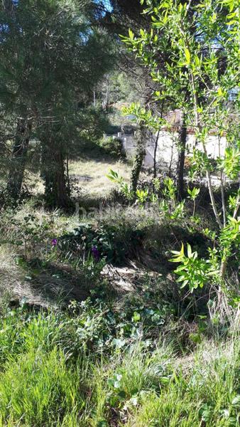 Foto 0c8caec2-c44b-416a-8d44-00ec7d301295. Finca rústica solvia inmobiliaria suelo urbano en Mediona