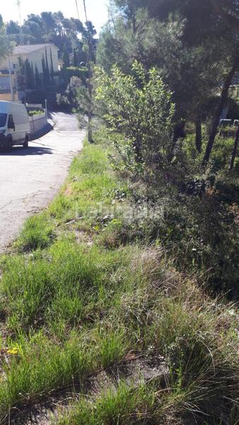 Foto 1d8ad347-5cdd-4e3a-86ec-b409fb28b810. Finca rústica solvia inmobiliaria suelo urbano en Mediona