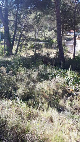 Foto 8bf19855-9240-4eb2-b21d-97ee50879d45. Finca rústica solvia inmobiliaria suelo urbano en Mediona