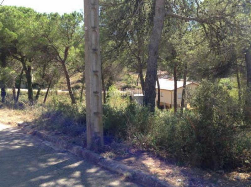 Foto 8e34e730-d737-4dbe-a632-cbb72bd07bf3. Finca rústica solvia inmobiliaria suelo urbano en Mediona