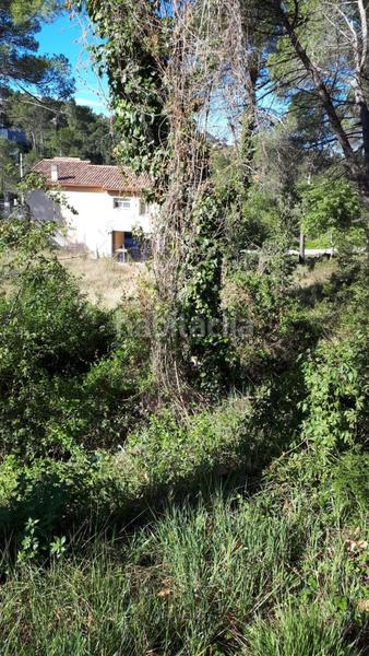 Foto 92661e6a-0fa4-4ccd-9469-4fd64bba0355. Finca rústica solvia inmobiliaria suelo urbano en Mediona