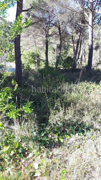 Foto 94853fe0-619e-442d-b14c-9e53e9fd17ff. Finca rústica solvia inmobiliaria suelo urbano en Mediona