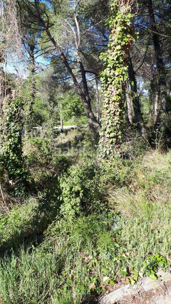 Foto a17239b1-1056-4018-b819-3f9184c7d07a. Finca rústica solvia inmobiliaria suelo urbano en Mediona