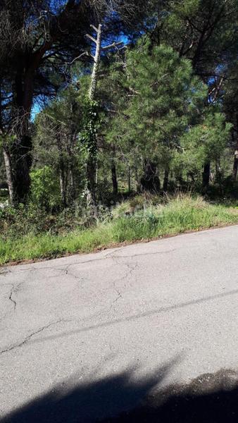 Foto b0e0b4ae-5d14-43e2-9d79-c7e0b21a543b. Finca rústica solvia inmobiliaria suelo urbano en Mediona