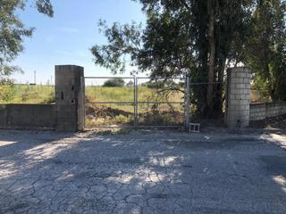 Propriété  C/ isla menor. Solvia inmobiliaria  suelo urbanizable dos hermanas