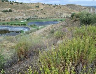 Finca rústica  C/ antequera golf. Solvia inmobiliaria  suelo urbano antequera
