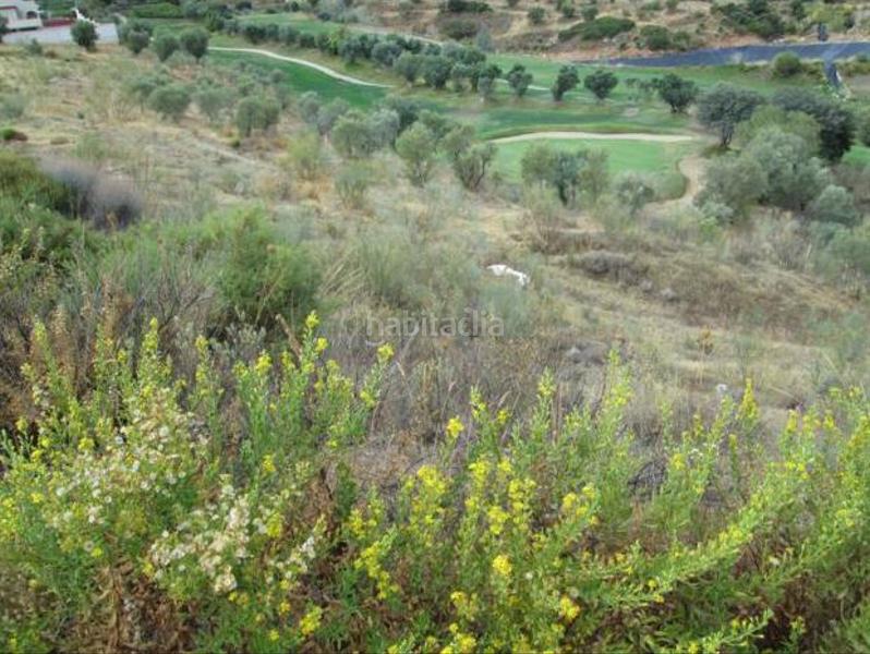 Foto c2a5ad21-427d-41b1-8643-5261f43dbec4. Finca rústica solvia inmobiliaria suelo urbano en Antequera