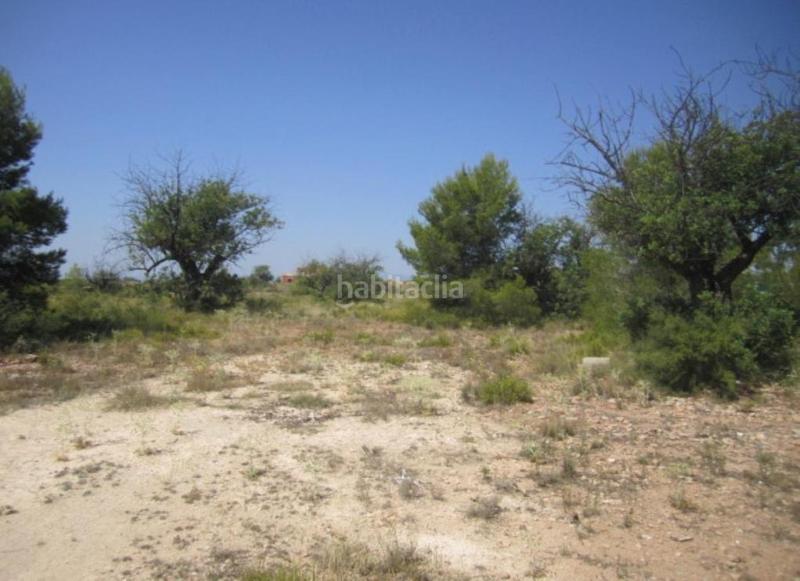 Foto a1eef672-c21c-4f36-9f82-ccd708b2a870. Finca rústica solvia inmobiliaria suelo urbanizable en Llíria