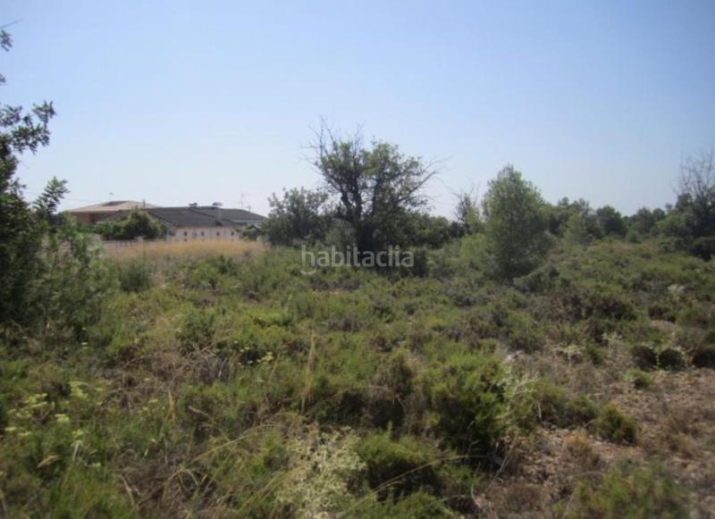 Foto deb89f9e-773d-4357-b7bf-e817da043195. Finca rústica solvia inmobiliaria suelo urbanizable en Llíria