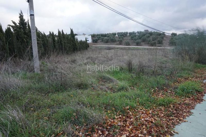 Foto bece3e7b-26cb-455a-9475-6c81febae7a0. Finca rústica a Priego de Córdoba