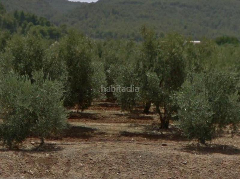 Foto a10fe016-418c-45ee-bb04-cb4992b74409. Rural plot in Galera (La)