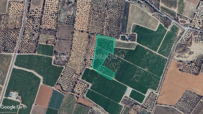 Foto 101ce14f-e7af-4894-843c-d9245ff33b64. Landgut in Galera (La)