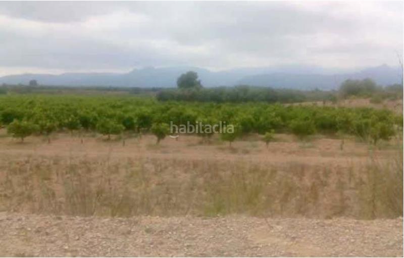 Foto f368abaa-30cb-4b19-a567-d6efdff2513f. Fondo rustico in Galera (La)