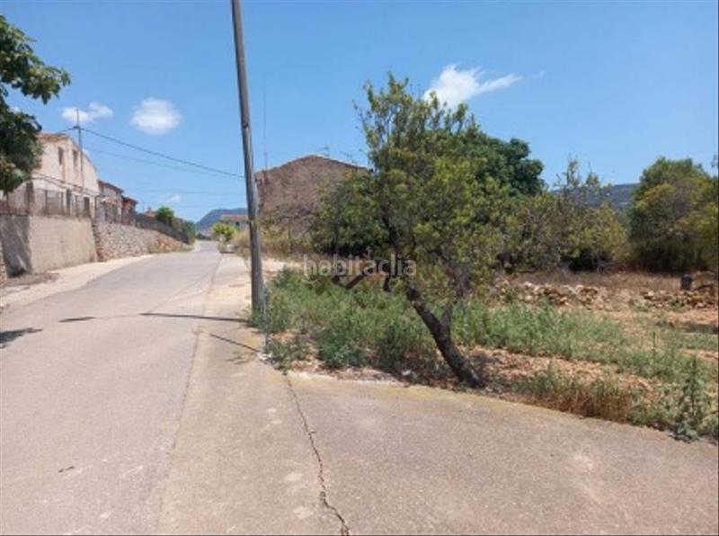 Foto 5e856b35-0d6e-4d7e-b2d8-c9f3185409dc. Fondo rustico in Sant Joan de Moró