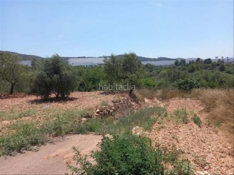 Foto 7d771a91-a004-4bcd-85c3-96755c96579d. Fondo rustico in Sant Joan de Moró