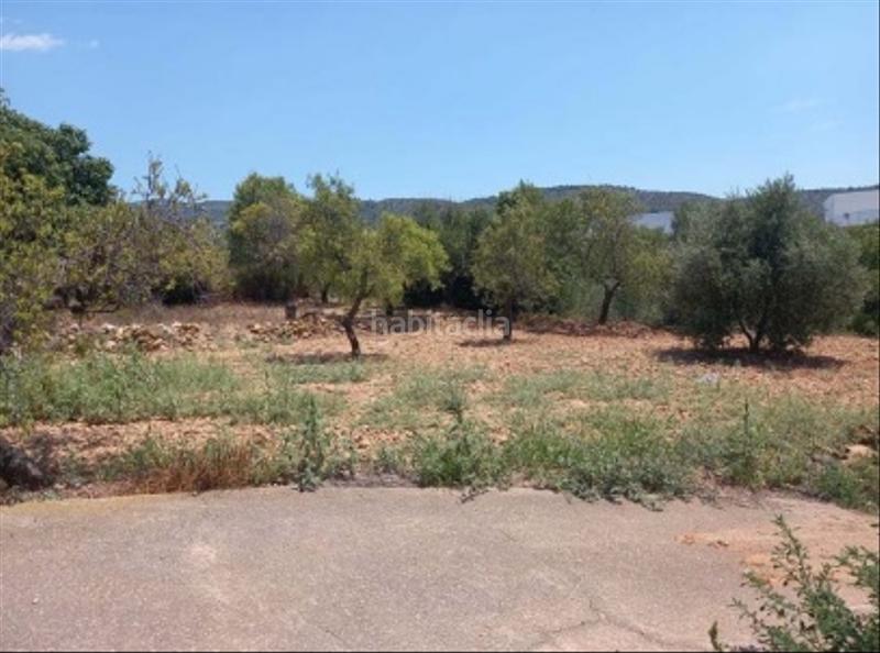 Foto 9216129e-82a4-4e44-8da2-6588d02d6a68. Fondo rustico in Sant Joan de Moró