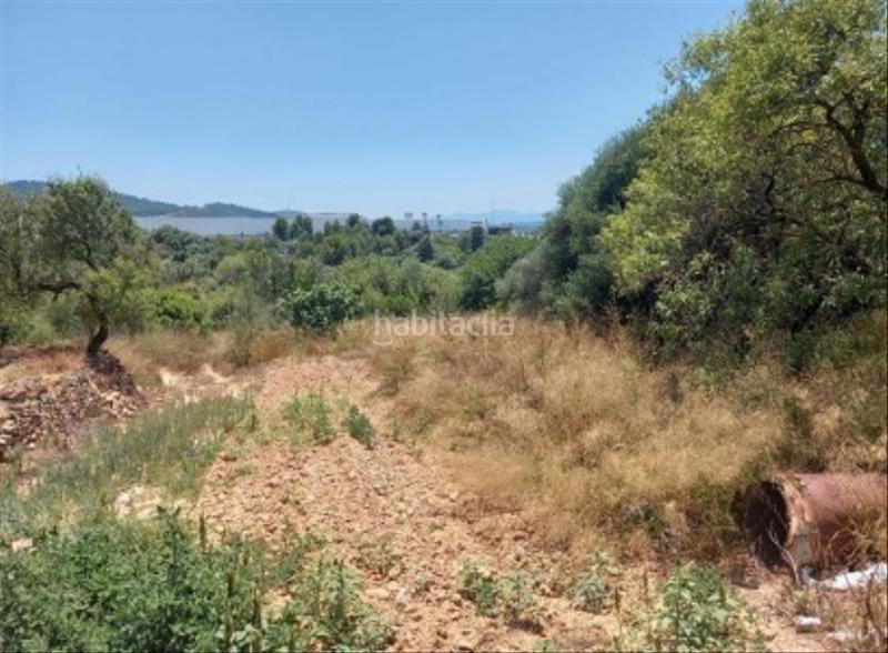 Foto 94f8a9ac-e19b-4fd6-baaf-35682cc3a4f5. Fondo rustico in Sant Joan de Moró