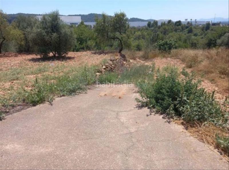 Foto 97ce9b6e-ac95-46cb-8ac7-d3fb80f23f3f. Fondo rustico in Sant Joan de Moró