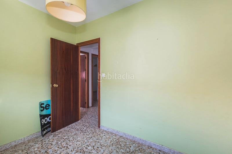 Foto 23ec78ac-f69b-4a50-92eb-601bfb06fe4e. Pis a Zarza (La)