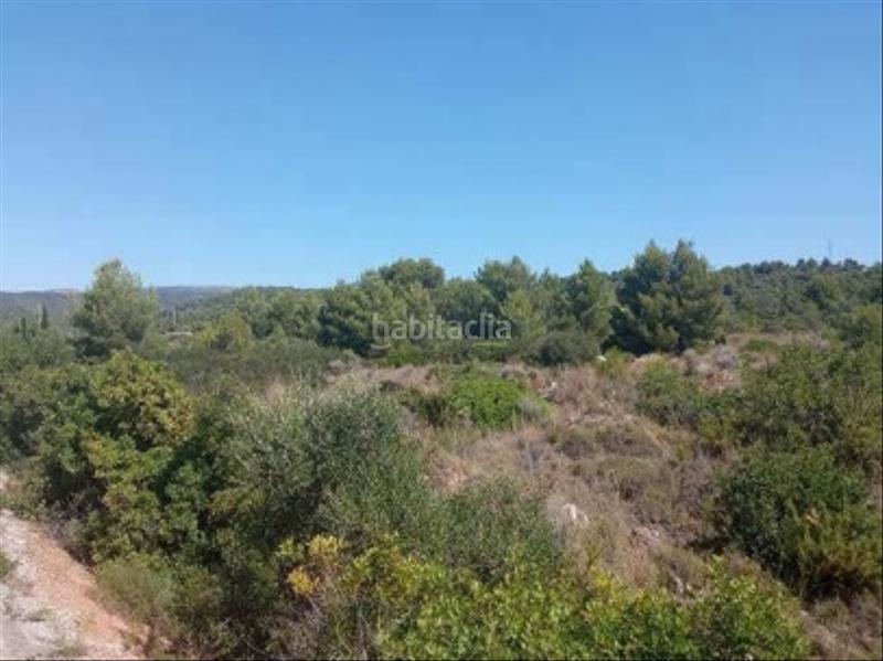 Foto c45da28c-cf40-4fd1-8b60-027fa1f9b6bb. Finca rústica solvia inmobiliaria solares en Ribesalbes