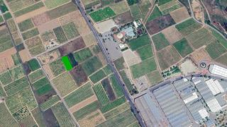 Finca rústica  Pt sector s-09. Solvia inmobiliaria  suelo urbanizable sectorizado lalcúdia