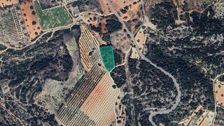Finca rústica  Partida de viñamalata. Solvia inmobiliaria  suelo rústico turís