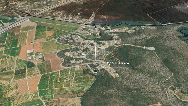 Foto 2cdab5c9-8ce5-4f8a-8a3e-edc2bd777761. Fondo rustico in Oliva pueblo Oliva