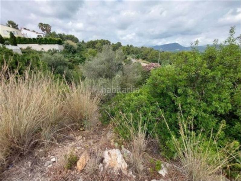 Foto 94ec5217-8347-4886-9676-161258f42a51. Fondo rustico in Oliva pueblo Oliva