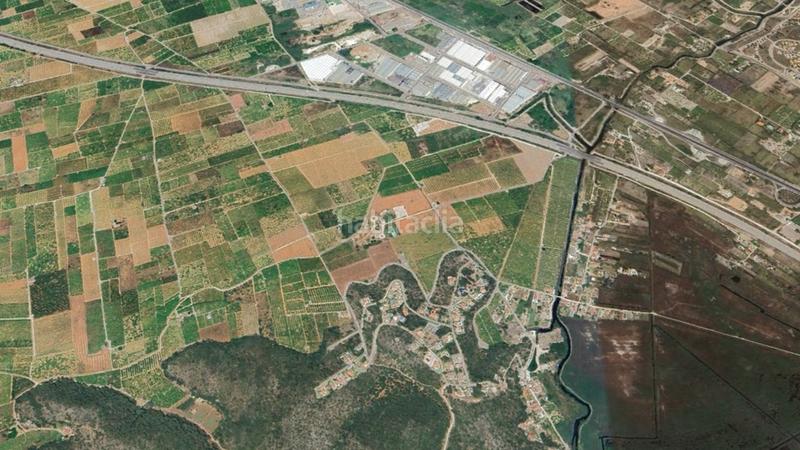 Foto d2559c83-9657-4ec9-8345-323207fa254a. Fondo rustico in Oliva pueblo Oliva